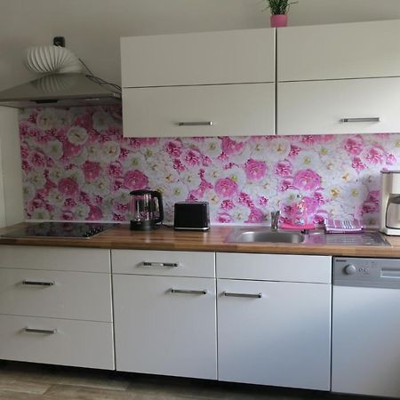 Ferienwohnung Froehlich Dorfprozelten المظهر الخارجي الصورة